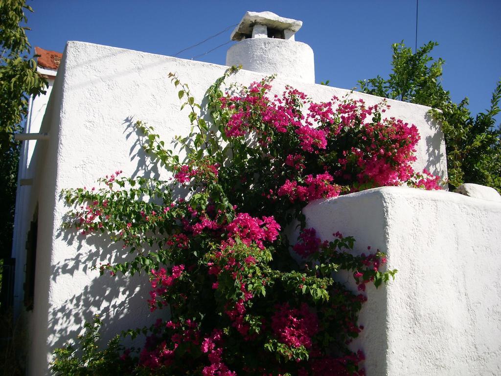 Patriko Country House Vóroi المظهر الخارجي الصورة