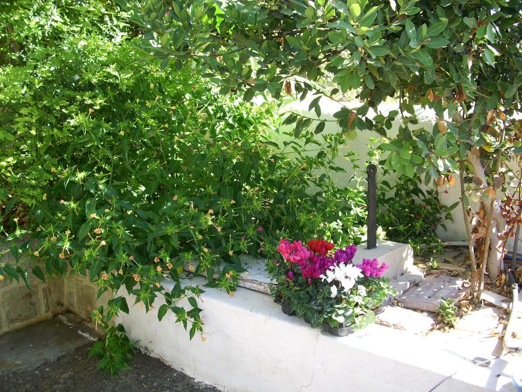 Patriko Country House Vóroi المظهر الخارجي الصورة