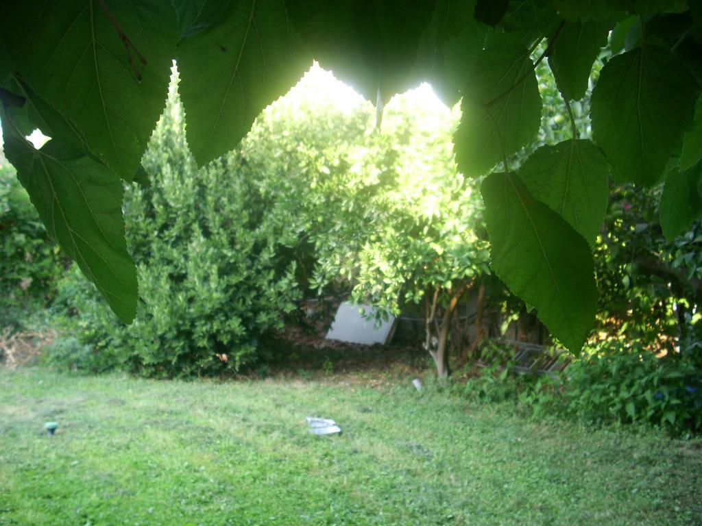 Patriko Country House Vóroi المظهر الخارجي الصورة