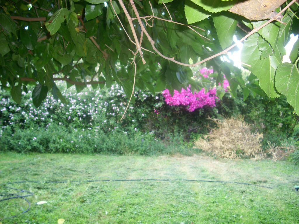 Patriko Country House Vóroi المظهر الخارجي الصورة